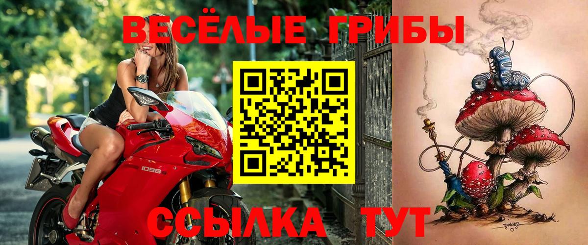 Псилоцибиновые грибы мицелий Улан-Удэ